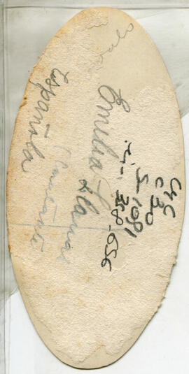 image 02
