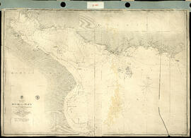 South America. East coast. Rio de la Plata. Compiled from surveys by Captains Fitz Roy 1833 and S...