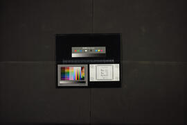 AR-AGN-DNM01-lpme-17_0002.jpg