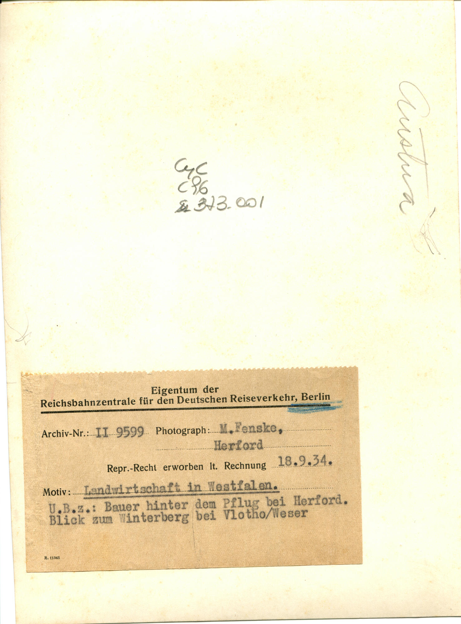 Original Digital object not accessible