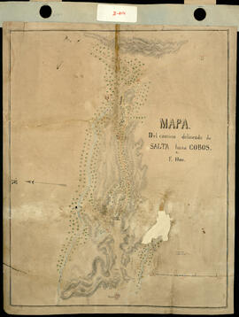 Mapa del camino delineado de Salta hasta Cobos por F. Host. Original.